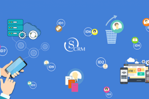 Инфографика системы sCRM