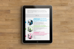 Хоска (полис страхования )