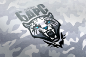 логотип для игрового отряда БАРС