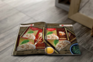 Легенда китая (брошюра)