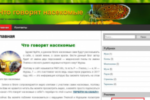 Что говорят насекомые