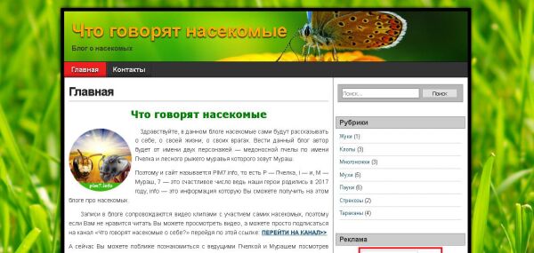 img3291363.png