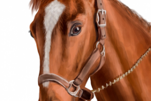 голова лошади