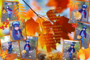 Работа 2653089