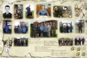 Работа 2653087