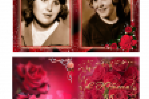 Работа 2653115