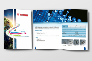 Rexant international