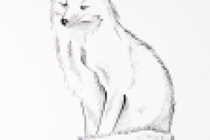 Работа 1167432