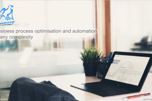 Презентация разработчика BPM-системы