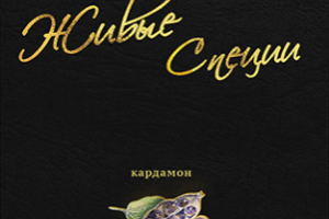 разработка фирменной этикетки для жидких специй "Живые Специи"