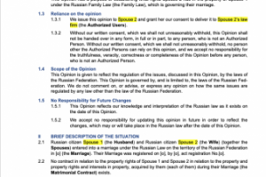 Перевод юридического заключения