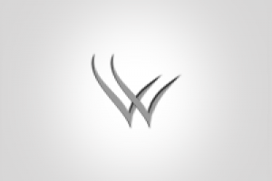 Работа 2990063