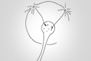 Работа 2990057