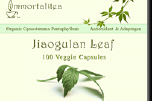 Дизайн этикетки для чая Jiaogulan Immortalitea