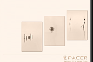 Флаер турфирмы по экстремальному туризму Pacer