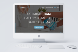 Cleaning Moscow