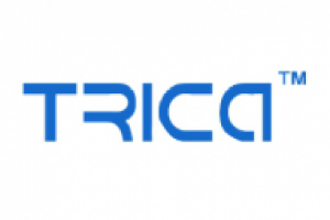 Первичная оптимизация Trica.ru