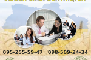 Баннер в соцсети