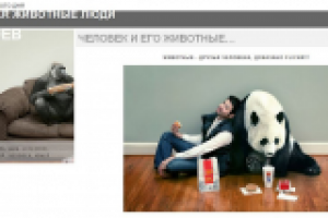 Фотоблог. Лучшие фото дня