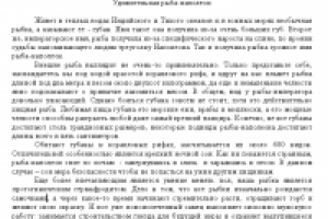 Удивительная рыба-наполеон