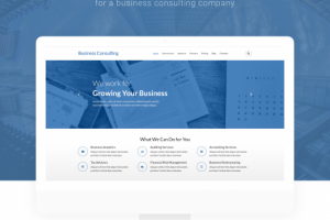 Бизнес консалтинг