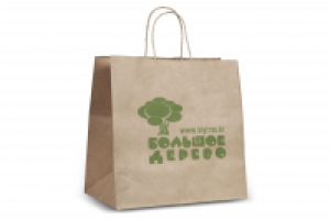 Бумажный пакет для интернет-магазина развивающих игрушек