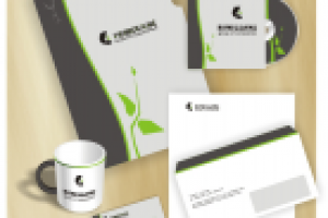 Фирстиль группы компаний Ренессанс