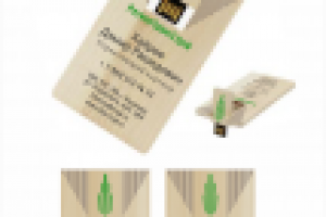 флешка-визитка