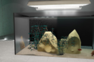 свет и камера