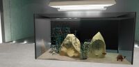 img2591880.png