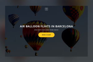 Агенство воздухоплавания "BB flights"