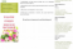 Интернет-магазин Флоренция