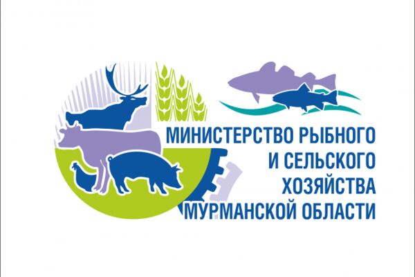 img3445406.png