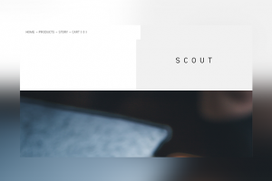 Scout