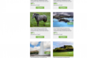 Дизайн для турфирмы - страница каталога