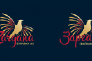 Логотип для пиротехнической компании