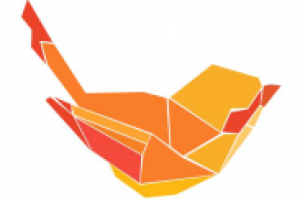 Логотип для проекта Sparrow's app