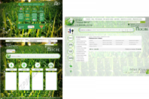 Работа 2061758