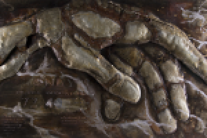 Фотосъемка картин (металл,дерево)