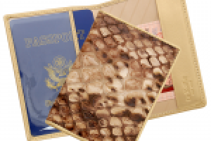 обложка для паспорта