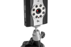 Обтравка для ООО "Антибаг"