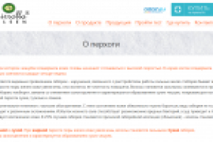 Тексты для сайта "Мирролла Сульсен"