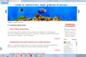 Передача эпизодов судебной практики в художественной форме