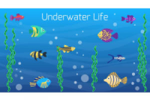 Работа 2782155