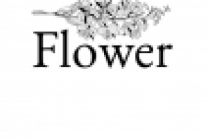 травяной чай