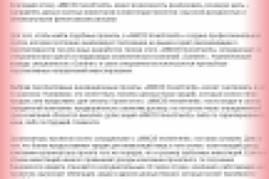 Как работает «MMCIS Investments»