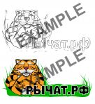 img2627278.png