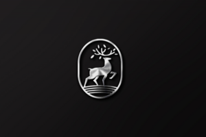 TransDeer