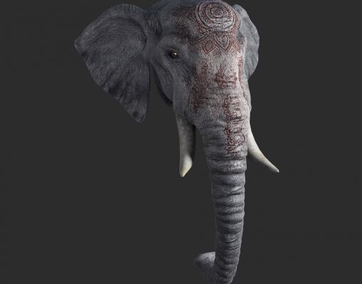 img3454382.png
