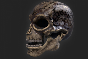 Skull